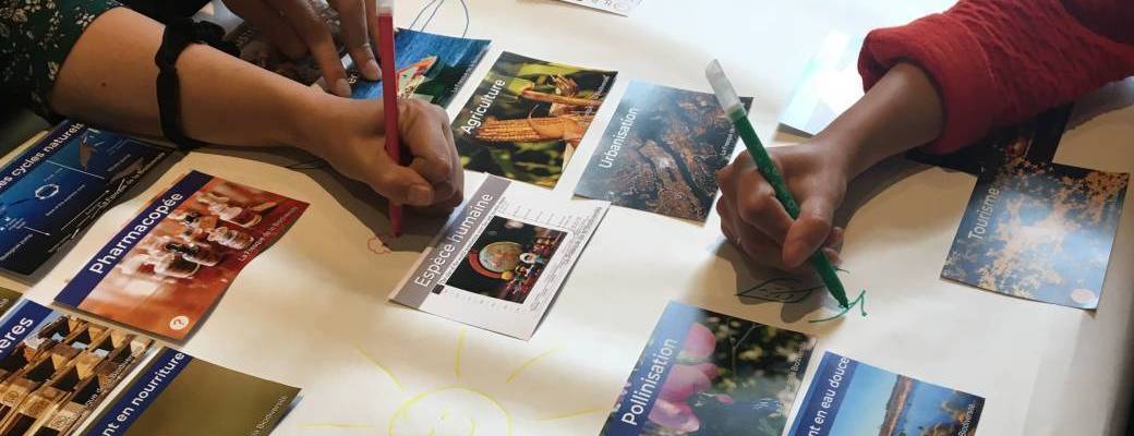 Atelier famille - Fresque de la Biodiversité | Festival de l'écologie